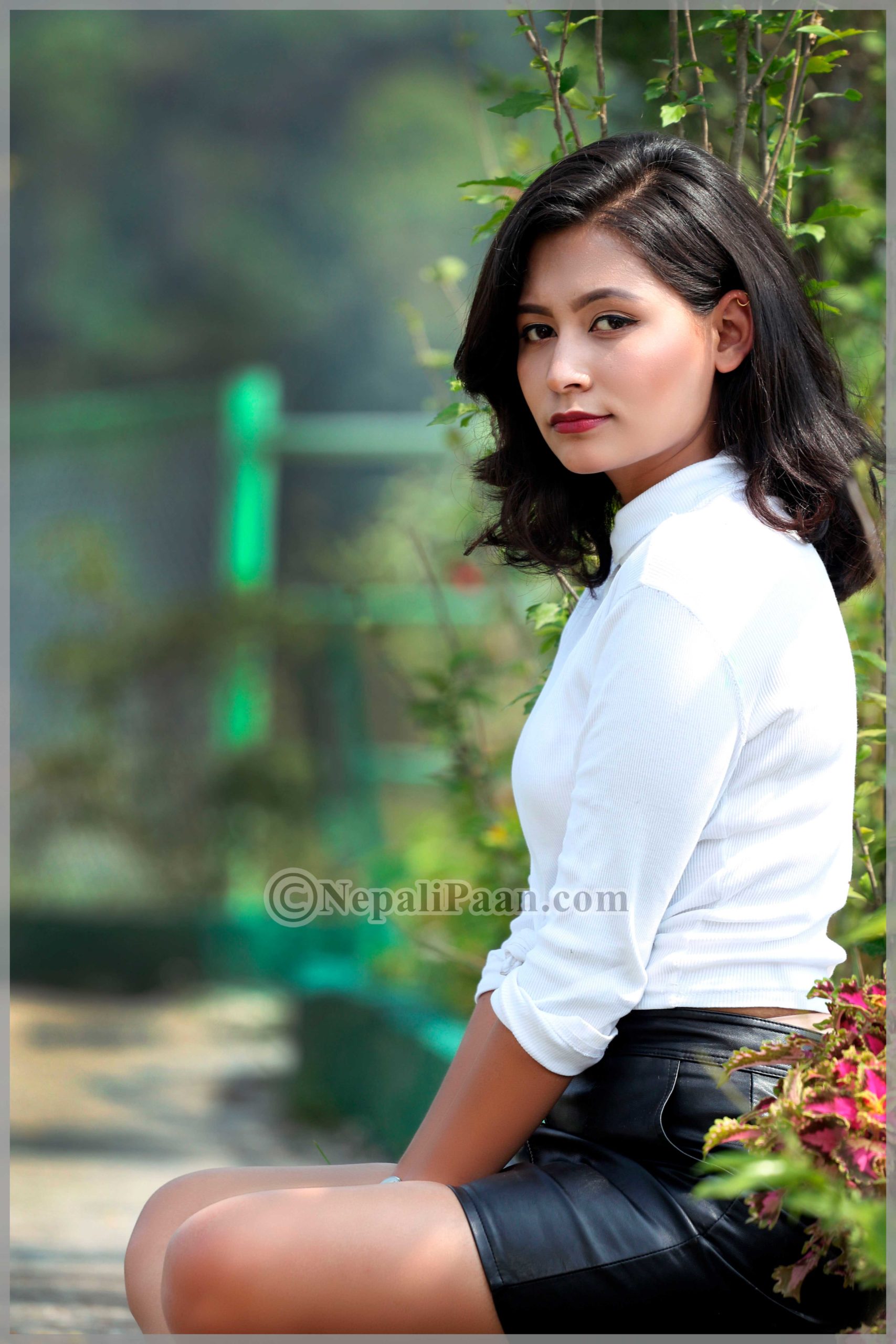 Sofi-Nepali-Model