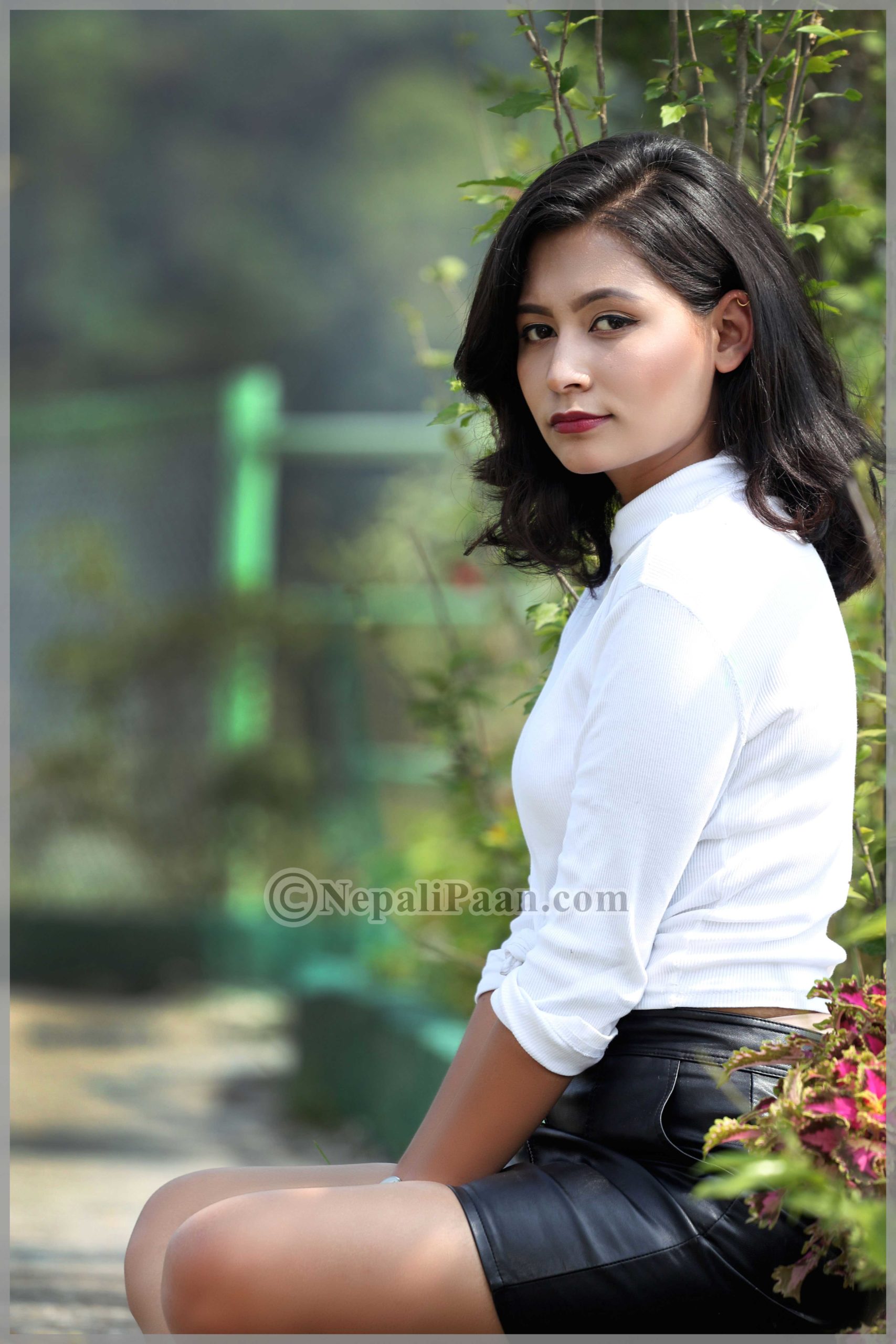 Sofi-Nepali-Model