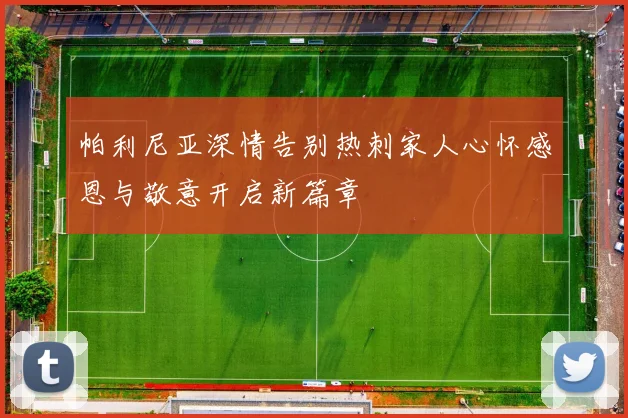 帕利尼亚深情告别热刺家人心怀感恩与敬意开启新篇章
